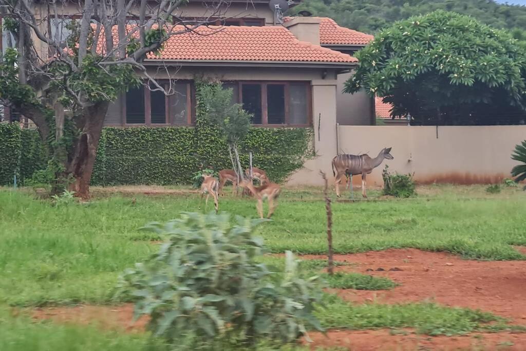 66 Sharalumbi Wildlife Estate Daire Lydenburg Dış mekan fotoğraf