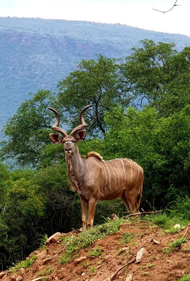 66 Sharalumbi Wildlife Estate Daire Lydenburg Dış mekan fotoğraf