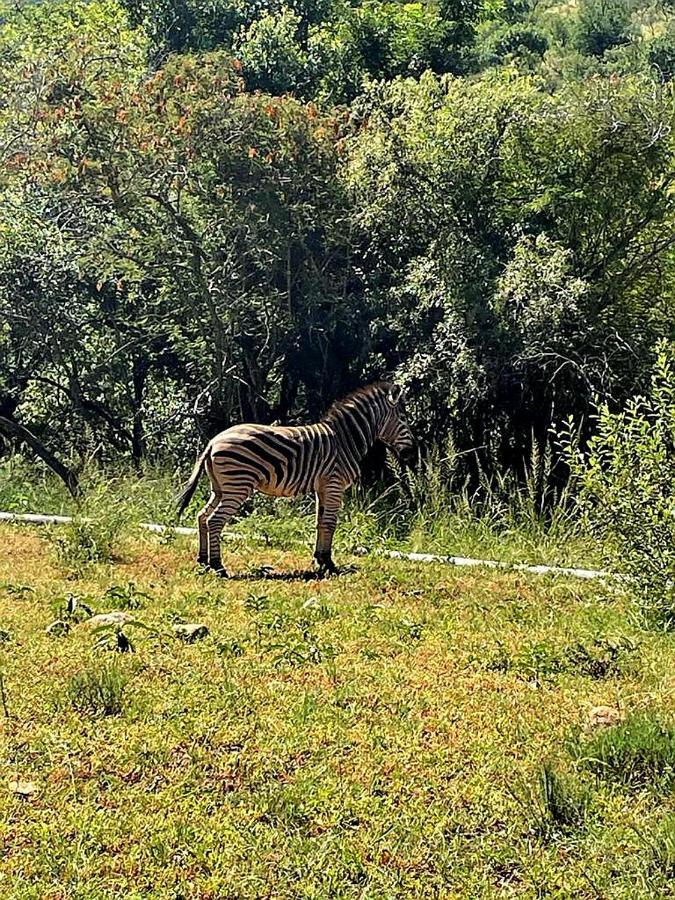 66 Sharalumbi Wildlife Estate Daire Lydenburg Dış mekan fotoğraf