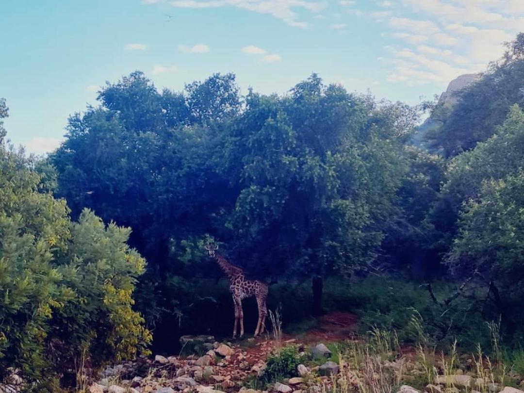 66 Sharalumbi Wildlife Estate Daire Lydenburg Dış mekan fotoğraf