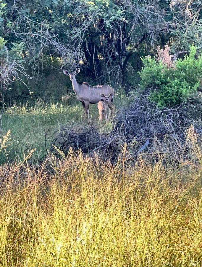 66 Sharalumbi Wildlife Estate Daire Lydenburg Dış mekan fotoğraf