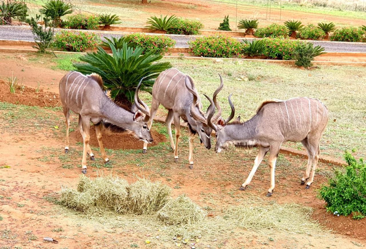 66 Sharalumbi Wildlife Estate Daire Lydenburg Dış mekan fotoğraf