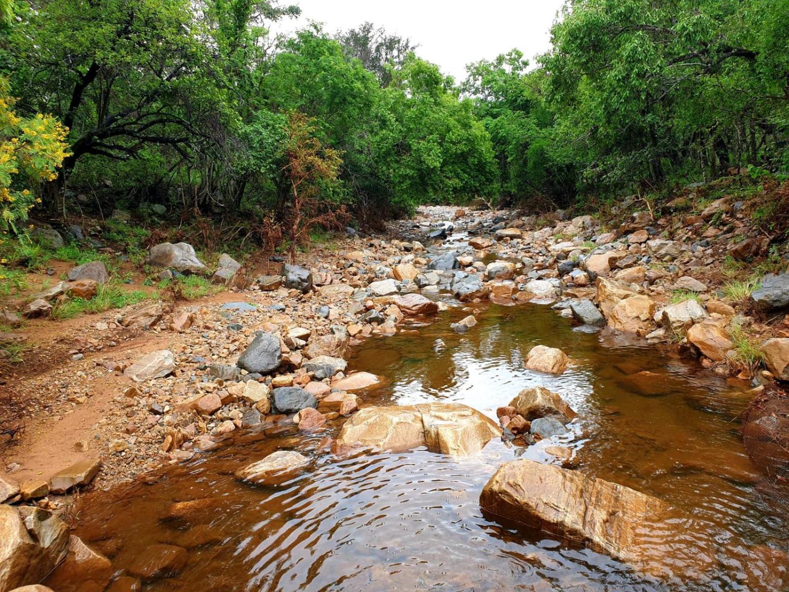 66 Sharalumbi Wildlife Estate Daire Lydenburg Oda fotoğraf